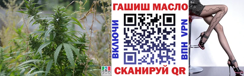 купить   Аркадак  ТГК Wax 