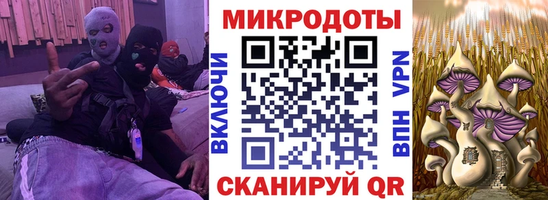 Галлюциногенные грибы GOLDEN TEACHER Аркадак