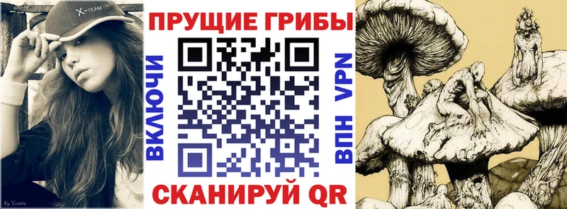 Псилоцибиновые грибы мухоморы  дарнет шоп  Аркадак 