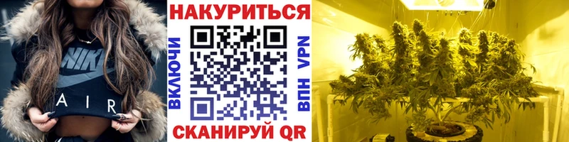 Канабис сатива  Аркадак 
